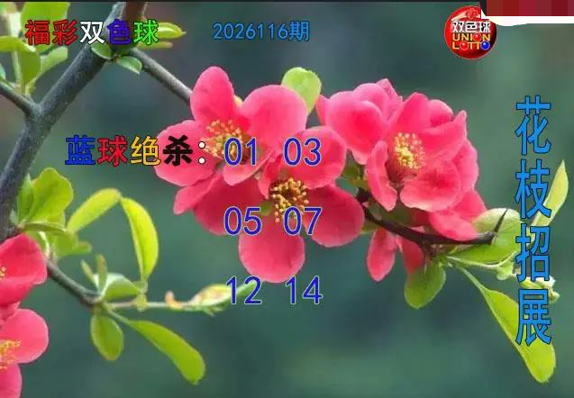 花枝招展蓝球绝杀图
