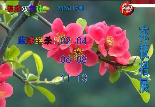 花枝招展蓝球绝杀图