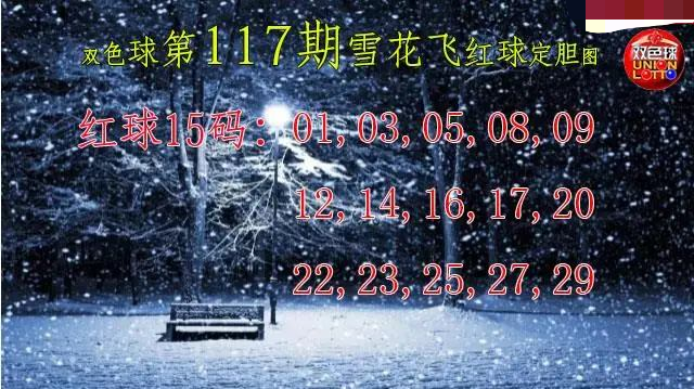 雪花飞红球图