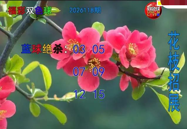 花枝招展蓝球绝杀图