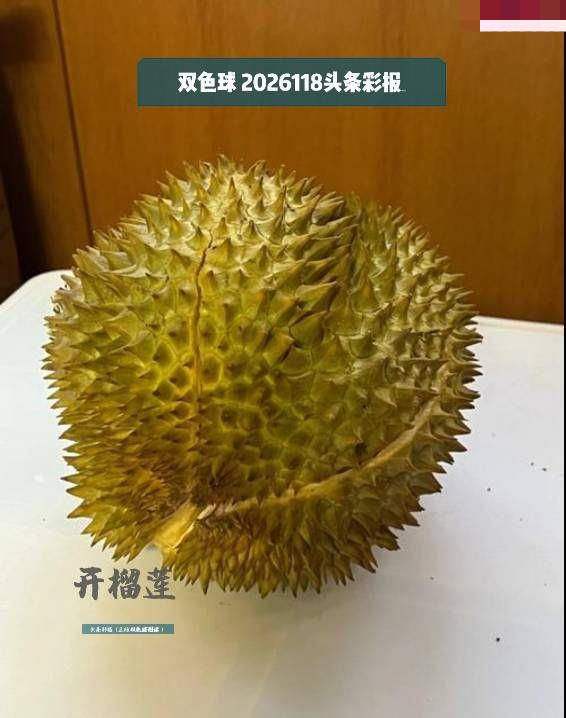 头条彩报