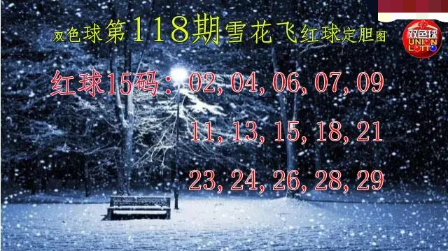 雪花飞红球图