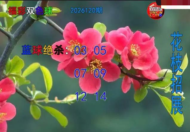 花枝招展蓝球绝杀图