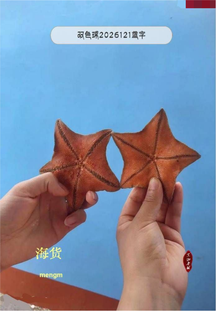MENGM 红图蓝字