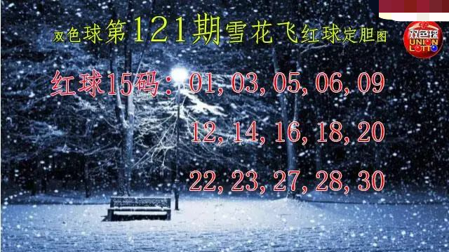 雪花飞红球图