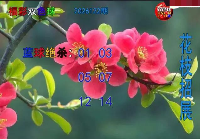 花枝招展蓝球绝杀图
