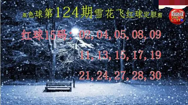 雪花飞红球图