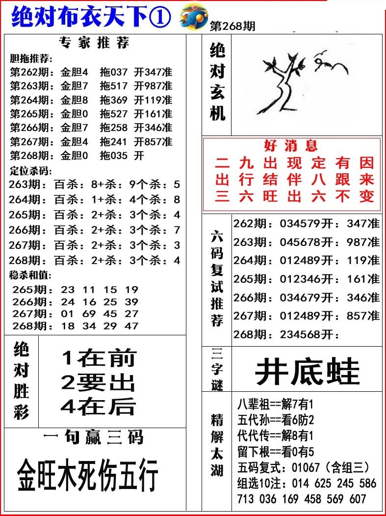 绝对布衣1