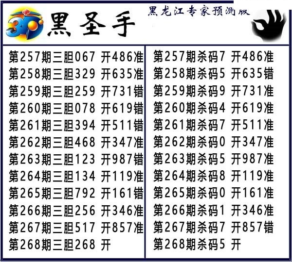 黑圣手