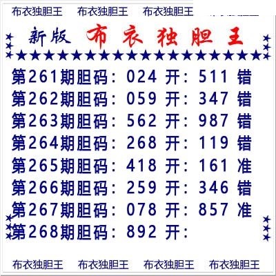 布衣独胆王