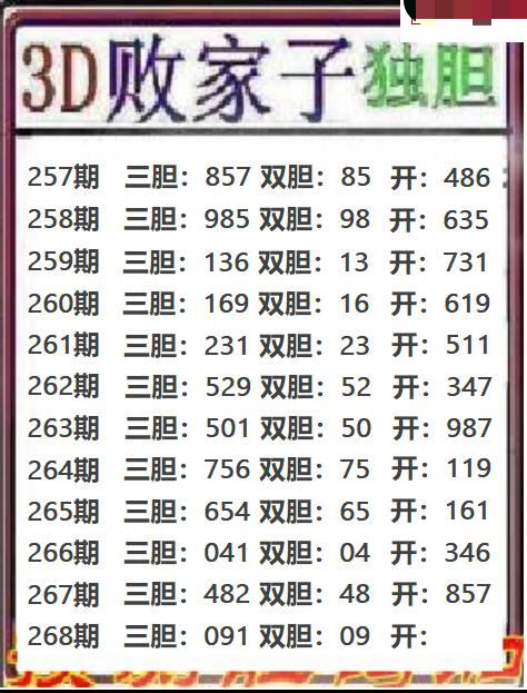 败家子独胆