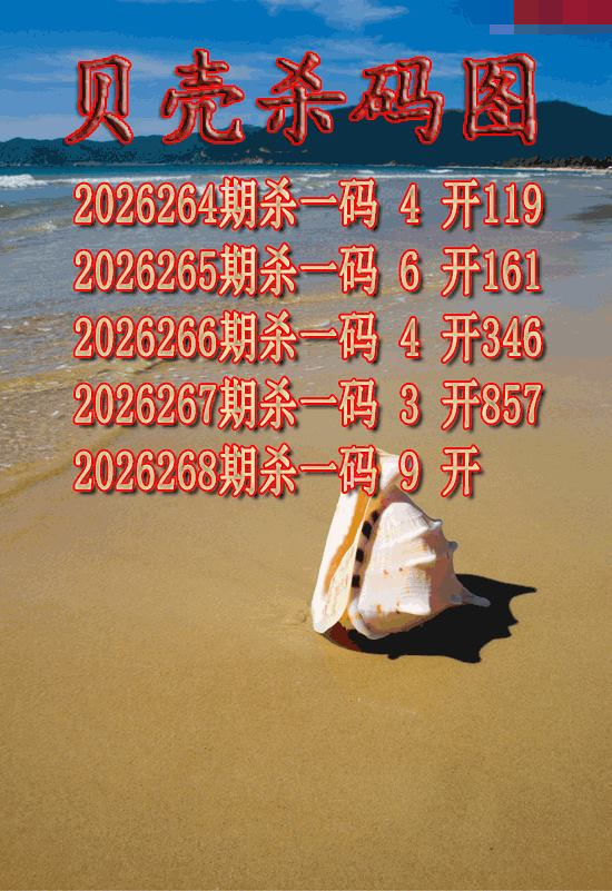 贝壳杀码