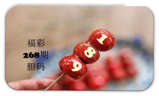 串串胆码图