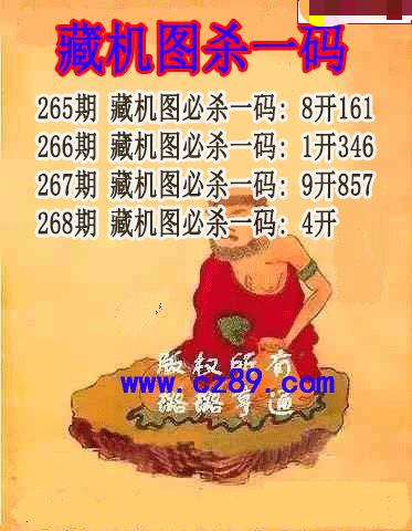 藏机图杀码