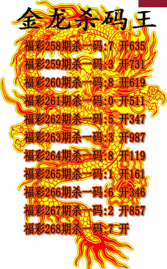 金龙杀码王
