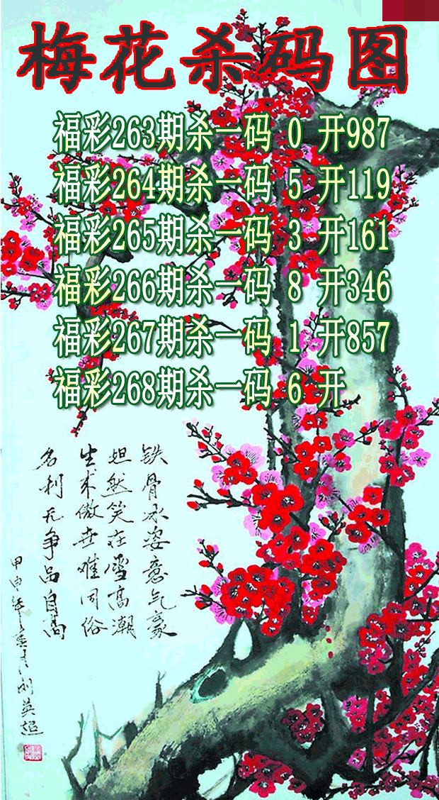 梅花杀码