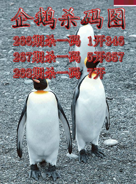 企鹅杀码