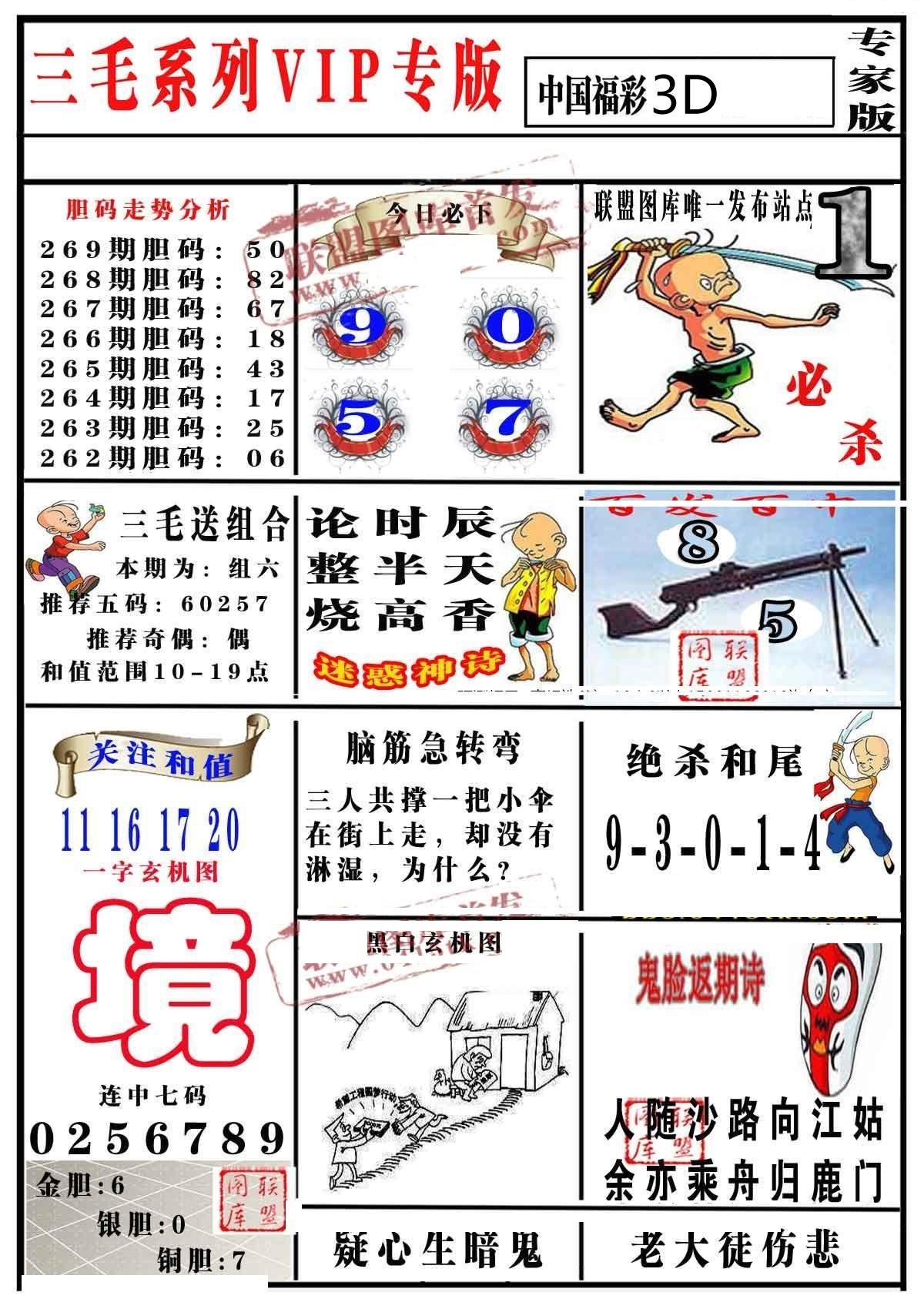三毛专家版