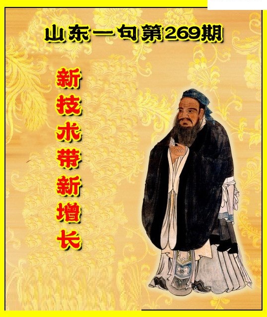 山东真诀