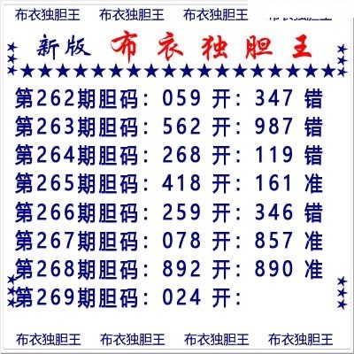 布衣独胆王