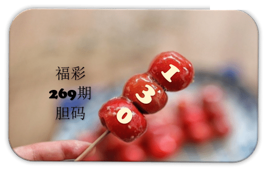 串串胆码图