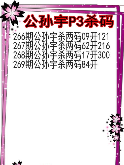 公孙宇杀码图