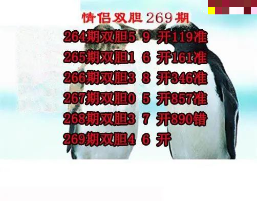 情侣双胆