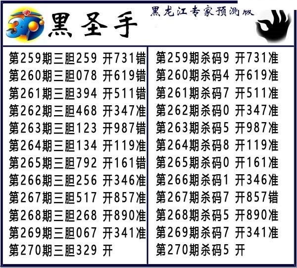 黑圣手