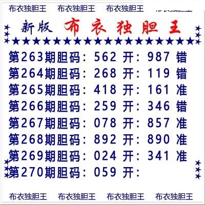 布衣独胆王