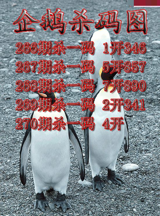 企鹅杀码
