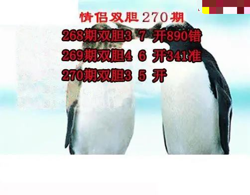 情侣双胆