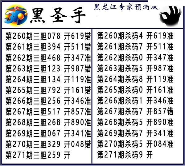 黑圣手