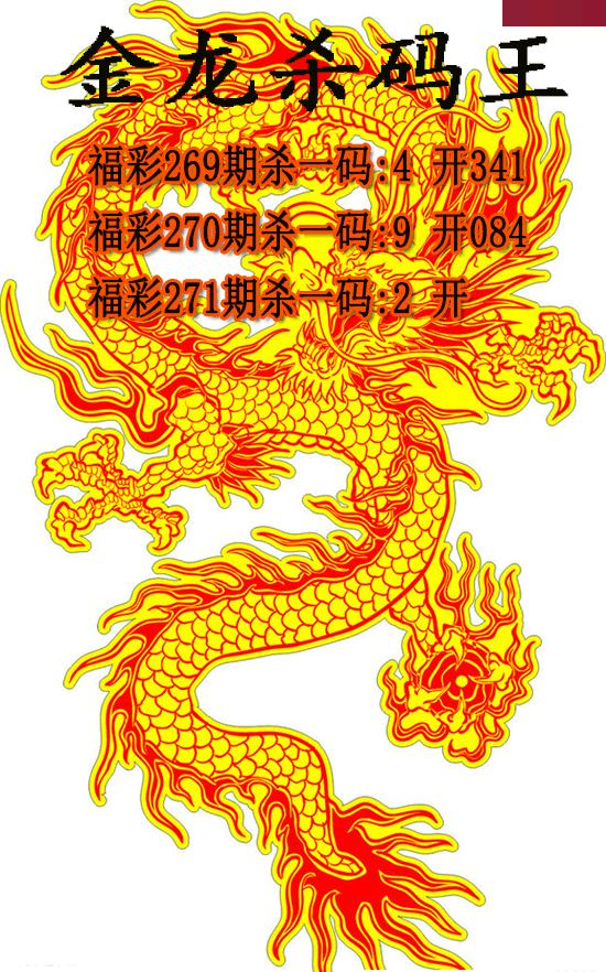 金龙杀码王