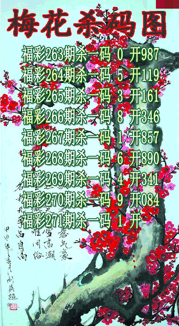 梅花杀码