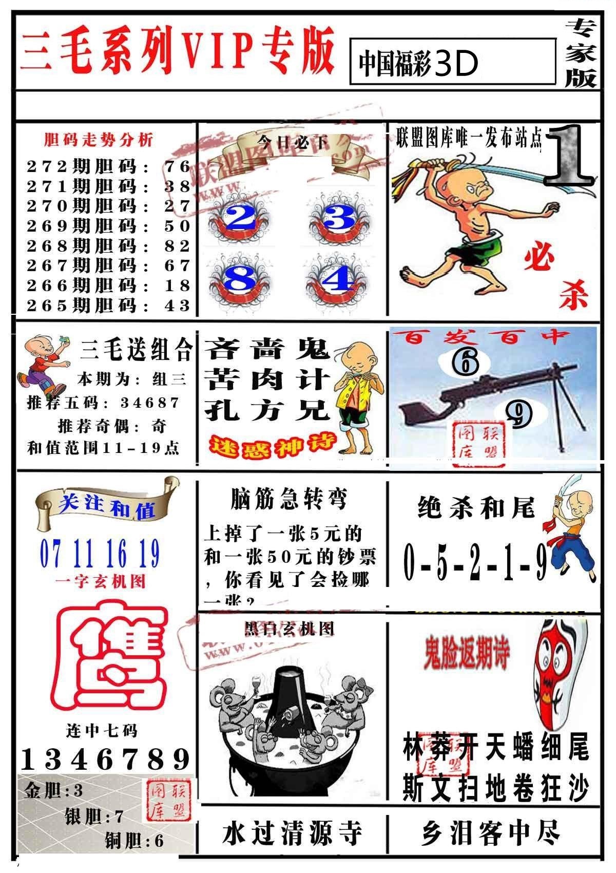 三毛专家版