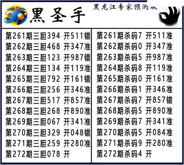 黑圣手