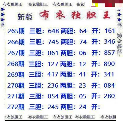新版布衣独胆王