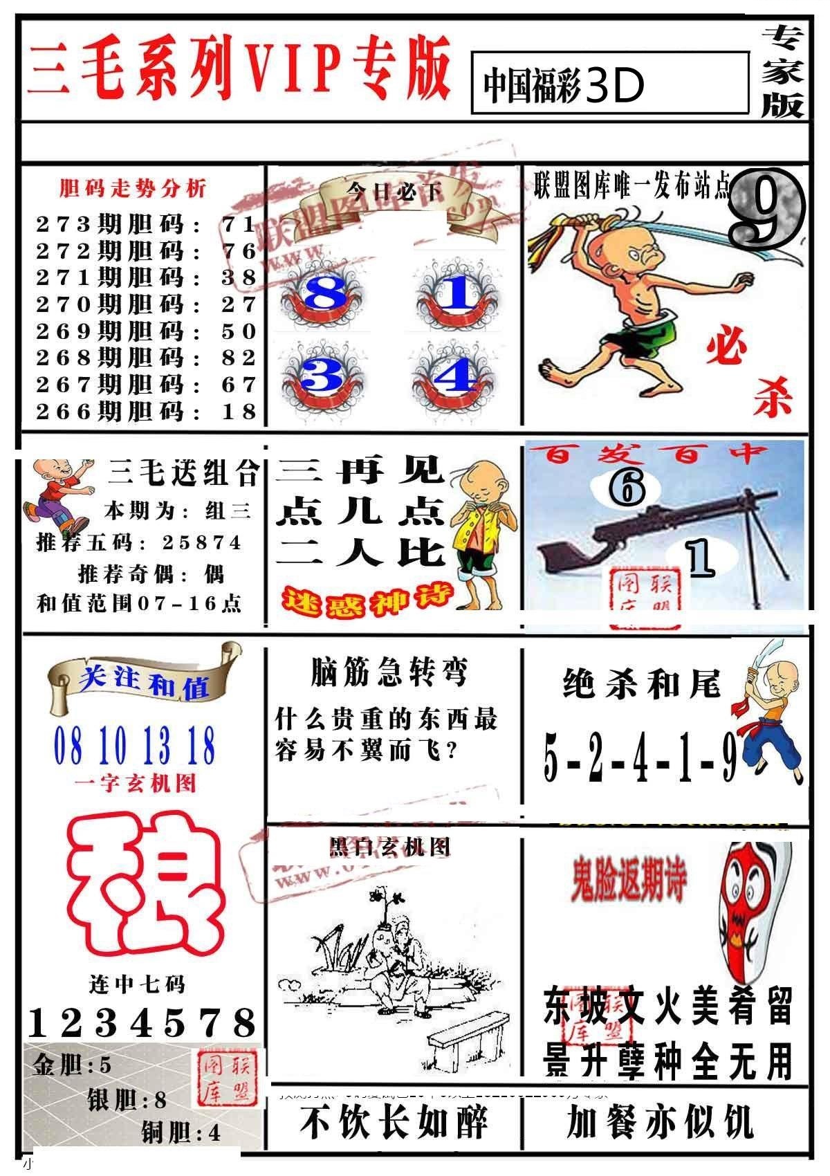 三毛专家版