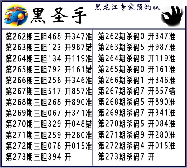 黑圣手