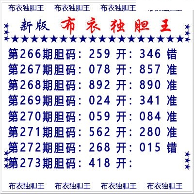 布衣独胆王