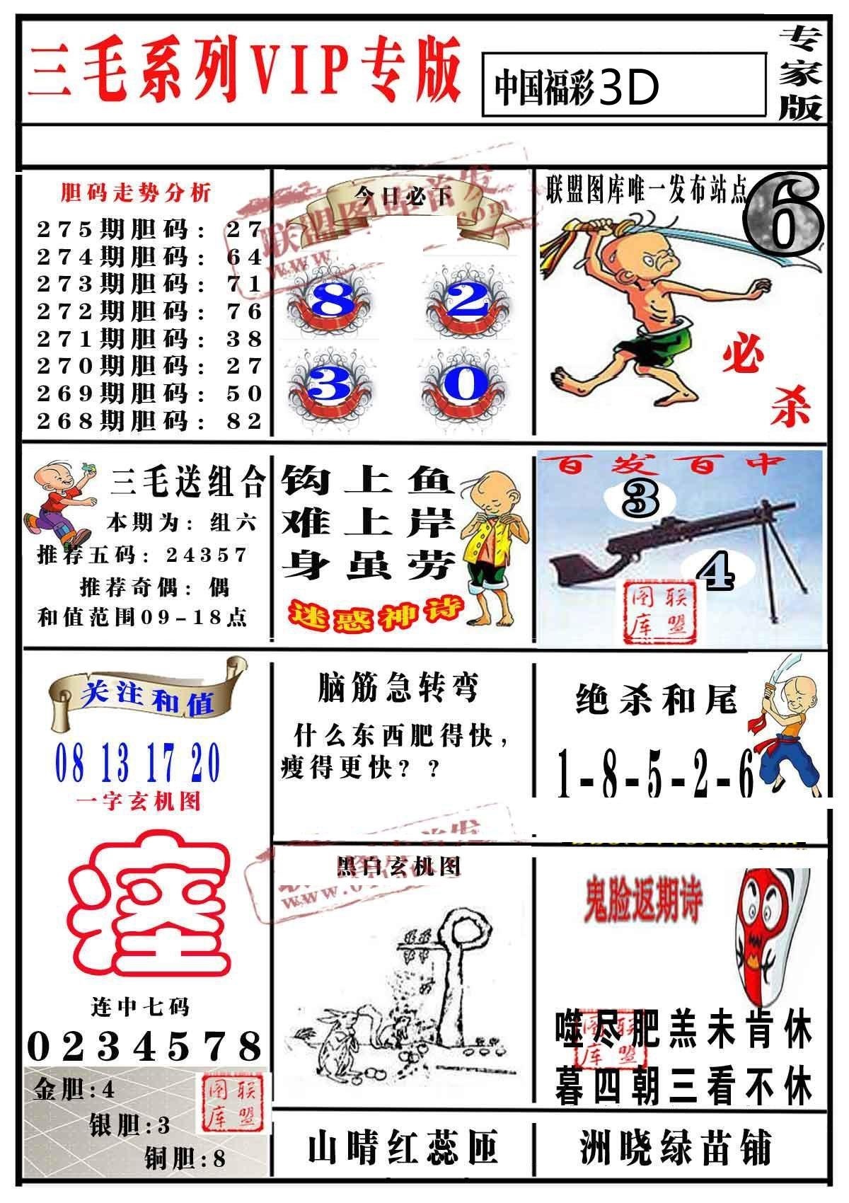 三毛专家版