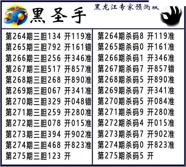 黑圣手