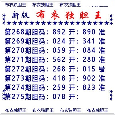 布衣独胆王