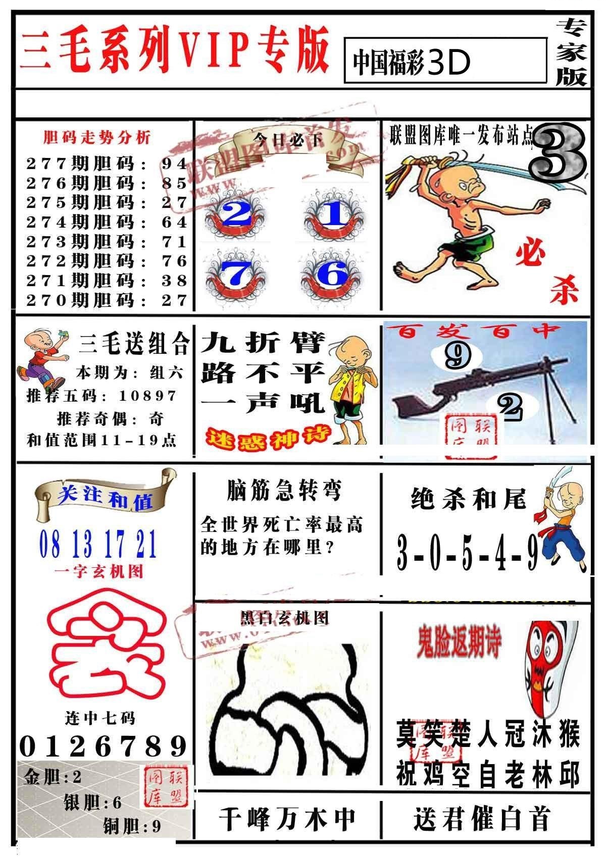 三毛专家版