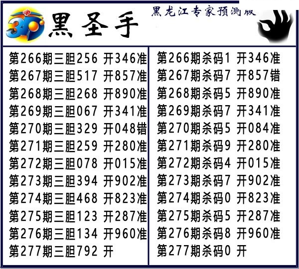 黑圣手