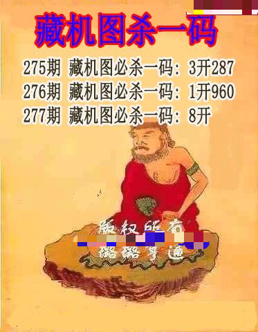 藏机图杀码