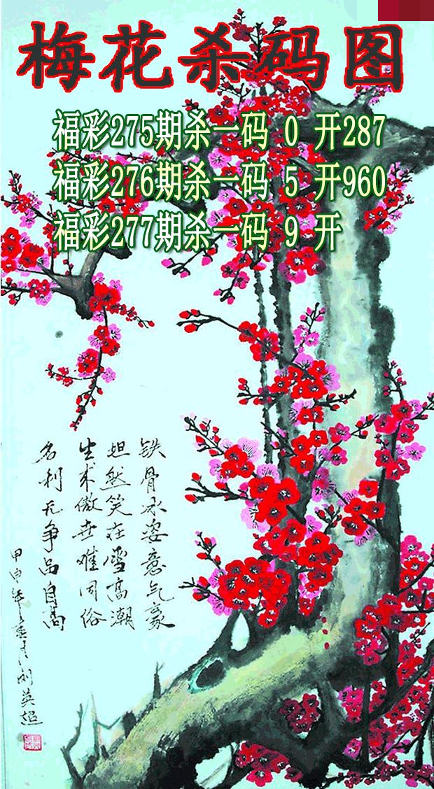 梅花杀码