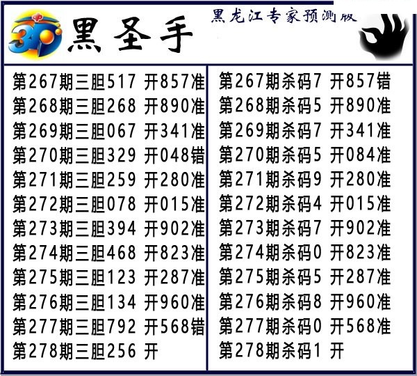 黑圣手
