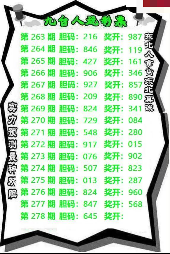 九台胆码