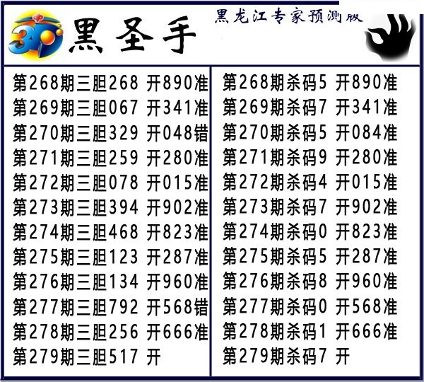 黑圣手